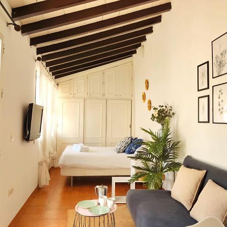 Ferienwohnung Stunning Attic With Private Terrace And Parking Optional Sevilla Exterior foto